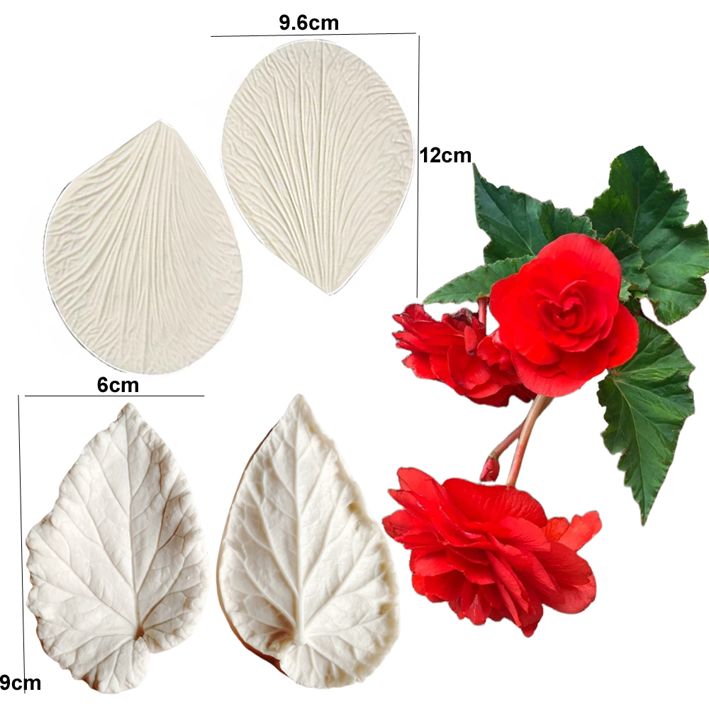 แม่พิมพ์ซิลิโคนลายใบเบกอนีอา ส - Eco Art Craft บทวิจารณ์และราคา
