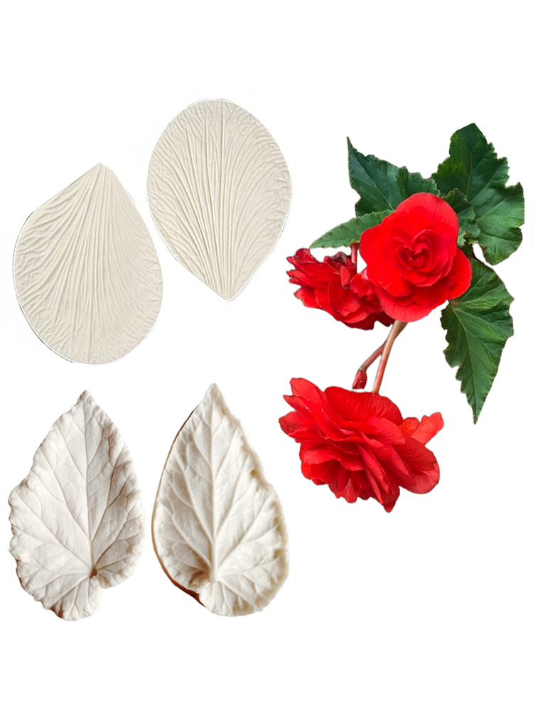 แม่พิมพ์ซิลิโคนลายใบเบกอนีอา ส - Eco Art Craft บทวิจารณ์และราคา