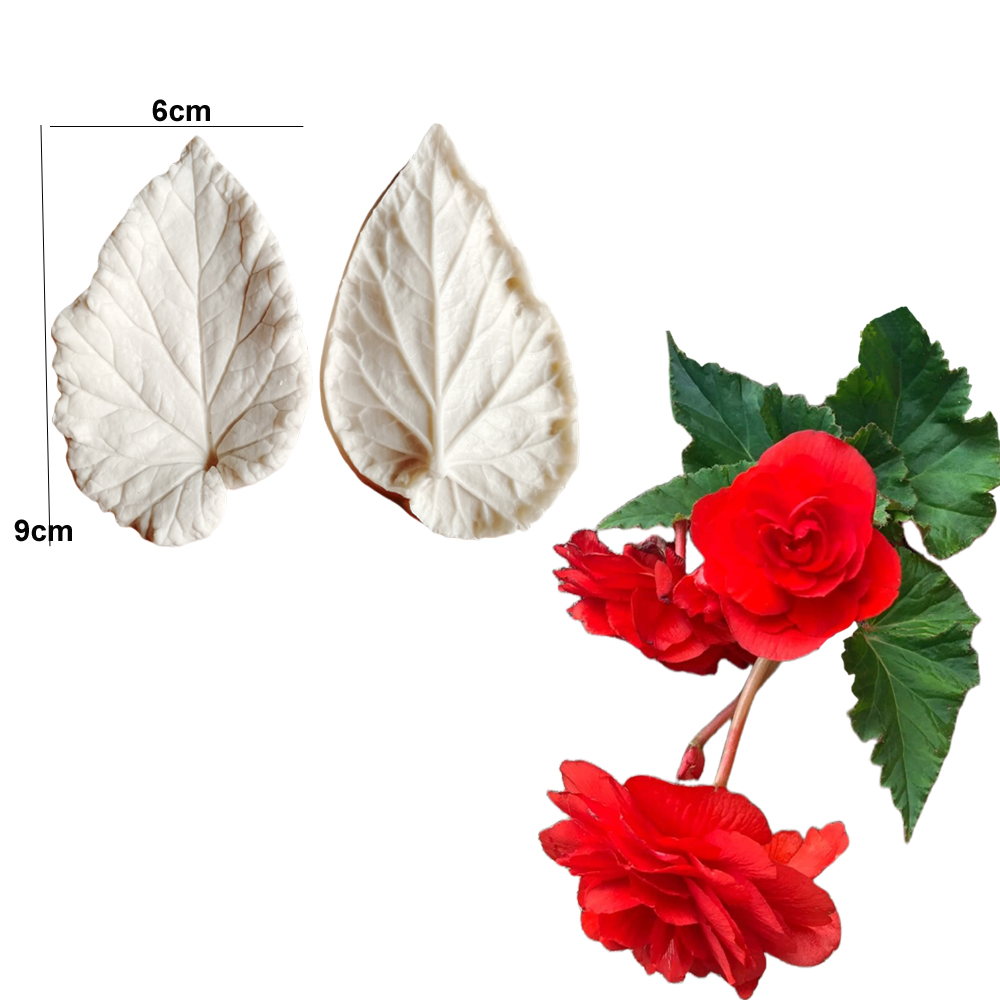 แม่พิมพ์ซิลิโคนลายใบเบกอนีอา ส - Eco Art Craft บทวิจารณ์และราคา